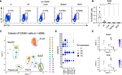 Enrichment of type I interferon signaling in colonic group 2 innate lymphoid cells in experimental colitis